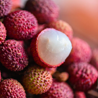Live Sweetheart Lychee Fruit Tree, Perennial Tropical Lychee Fruit Trees, 3-4 Feet Tall in 3 Gallon Pot for Oudoor Garden, No Ship to CA