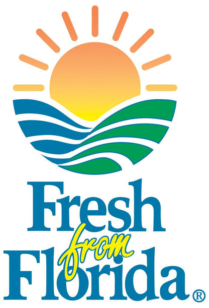 Perfect Plants wintergreen bush boxwood, 1 gallon, Includes Plant Food
