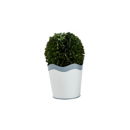 Mud Pie Scalloped Boxwood Pot, Small, 4" x 3"