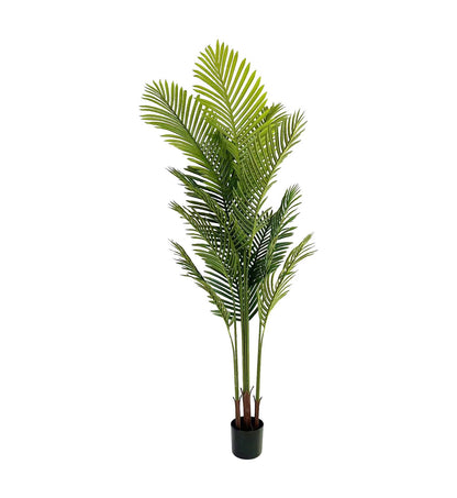 Kiko Artificial Palm Tree -5 Ft Tall Fake Floor Plant Greenery Potted Plants for Office,Gymnasium Room, Living Room, Dinner Room, Shopping mall,Artificial Plant for Indoors and Outdoors