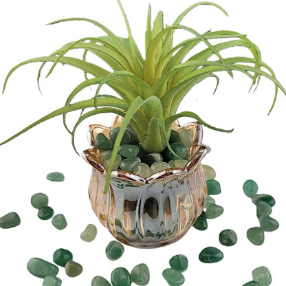 1,000 Carats Green Aventurine Handpicked Tumbled Stones Crystals Chips 0.2''-0.5'' Bulk Pocket Stones for Healing, Reiki, Meditation, Witchcraft and Home Decorations (Green Aventurine)