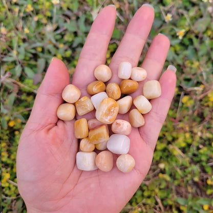 1,000 Carats Handpicked Tumbled Stones Crystals Chips Bulk Pocket Stones for Healing, Reiki, Meditation, Witchcraft and Home Decorations (Yellow Aventurine)