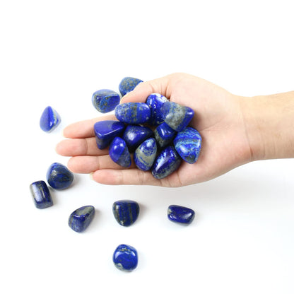 Namzi 10 Packs of Brazilian Tumbled Polished Natural Lapis Lazuli Crystals, Crystals and Healing Stones Quartz Bulk for Wicca, Reiki, Healing Energy, Chakra Stones, Witchcraft Supplies(0.5LB)