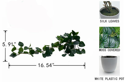 Kiko Artificial Plant Trailing with Pot 16.5" (42cm) Long Fake Table Plant for Office, Gymnasium Room, Living Room, Dinner Room, and Home Decoration, Artificial Plant for Indoors.