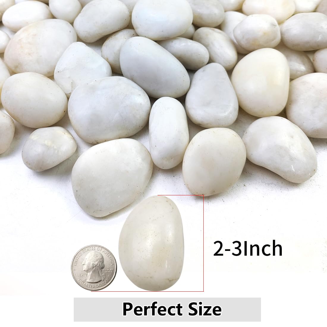 YISZM 10lbs White River Rocks, 2-3 Inch Natural Pebbles for Indoor Plants, High Polished Decorative Stones Vase Filler Fish Tank Aquariums Landscaping Garden Outdoor and Indoor DIY