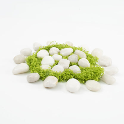 Natural White River Pebbles - LOOIOOJ 20 Lbs Polished Decorative Rocks, 0.5-1 inch, for Aquariums, Gardens, and Indoor Plant Drainage (White, Weight: 20 LB)