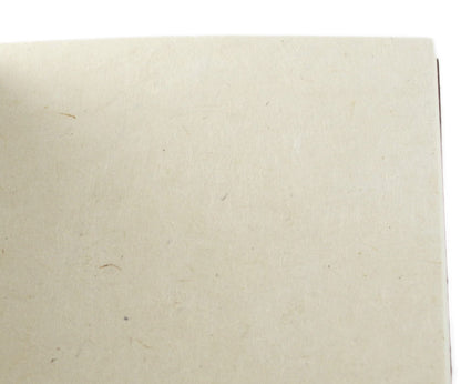 Nepali Companion 8.5x11 inch Notebook with Handmade Paper and Vegetable-Dyed Softcover, Vintage Composition Notebook for Office, School, and Home, Handcrafted in Nepal (Large, Sage)