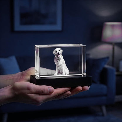 P&L ART. Custom 3D Crystal Photo Personalized Memorial Gifts, Laser Engraved Glass Remembrance Picture Frame with LED Base for Pet Dog Cat Loss (Rectangle S/M/L/XL)