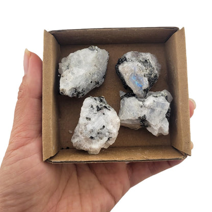 3-5Pcs Moonstone Natural Raw Crystals 1''-2'' Rough Stones Rocks for Tumbling Polishing Cabbing Gemstones Crystals and Healing Stones for Wicca Reiki,Fountian Rocks for Decorations (Moonstone)