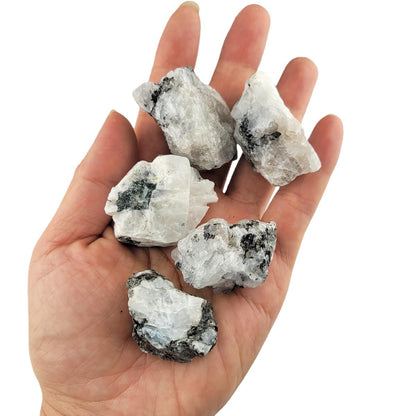 3-5Pcs Moonstone Natural Raw Crystals 1''-2'' Rough Stones Rocks for Tumbling Polishing Cabbing Gemstones Crystals and Healing Stones for Wicca Reiki,Fountian Rocks for Decorations (Moonstone)