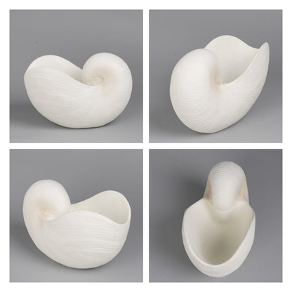 Braxio Modern Home Decor Sea Shell - Beach Themed Statue Resin Conch Shape Dish for Keys, Rings, or Succulent Planter - Coastal Decorative Bowls for Bathroom, Living Room, 12.25 x 6.25 x 8.25 Inch