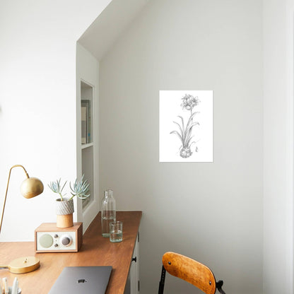ART.COM Wall Art Prints Botanical Sketch II by Ethan Harper, Botanical Decor, 12" x 16"