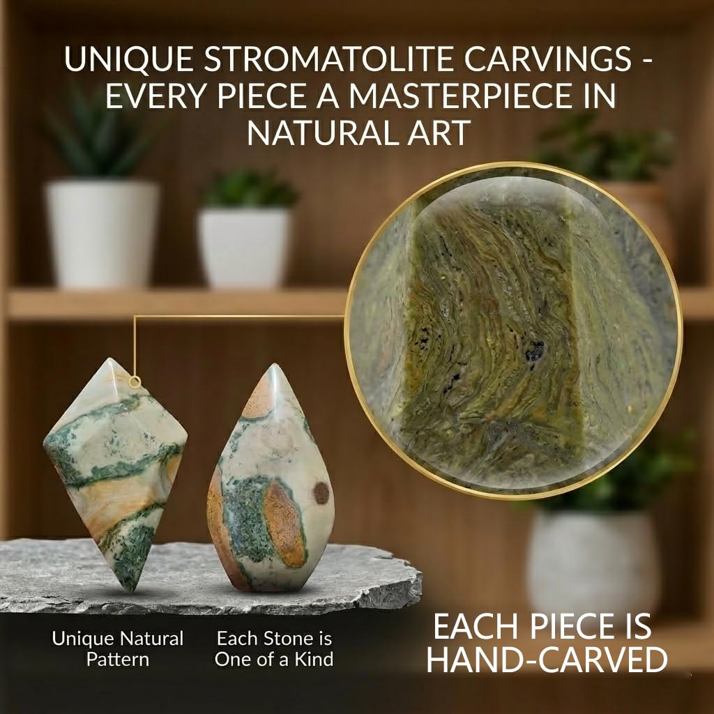 Crystal Healing Nature stromatolite Fossil Gemstone, 1.8 Billion Year Old Natural Algae Ancient Stone, Teardrop-Shaped Stromatolite Fossil for Zen Decor and Stress Relief Gift.