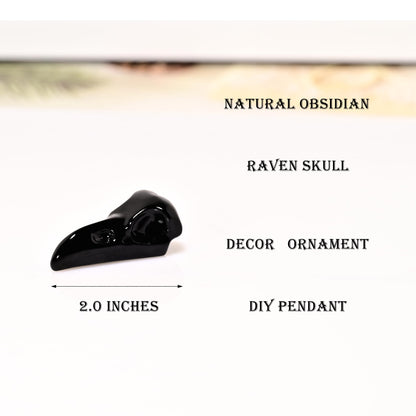DZJXBZhu Obsidian Raven Skull Figurine Crystal Healing Stone Spiritual Meditation Pocket Figurine Natural Gemston Hand Carved Polished Home Room Office Desk Decoration Gift Collect
