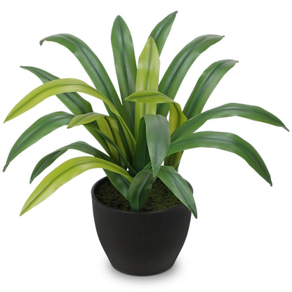 Hollyone Artificial Cymbidium Leaves Plants 13.7" Fake Spiked Agave Plant in Black Pot Faux Succulent Aloe Tropical Plants for Indoor Outdoor Modern Home Table Office Living Room Desk Decor
