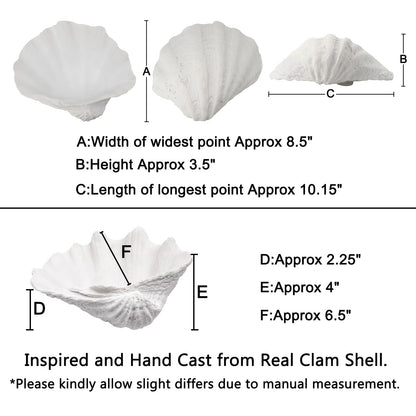 ALIWINER Medium White Scalloped Clam Shell Bowl Sea Shell Decor for Nautical Beach House,Coastal Decor Gift of Housewarming and Wedding Party