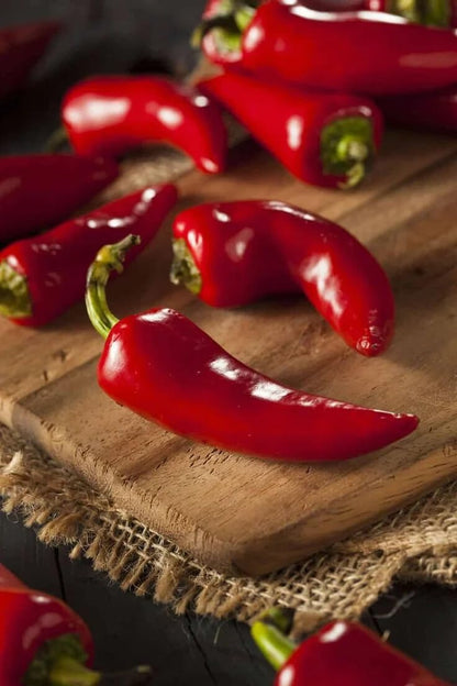 Live Plant - Gentleman Pepper (Chili Hot Pepper) Live Tree 1-2Ft