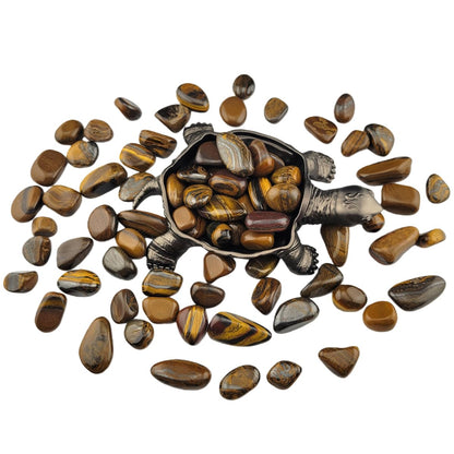 1,000 Carats Tiger's Eye Handpicked Tumbled Stones Crystals Chips Bulk Pocket Stones for Healing, Reiki, Meditation, Witchcraft and Home Decorations (Tiger's Eye)