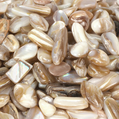Justinstones Brown Shell Chips Crushed Tumbled Stone Crystal Healing Embellishments 100 Grams
