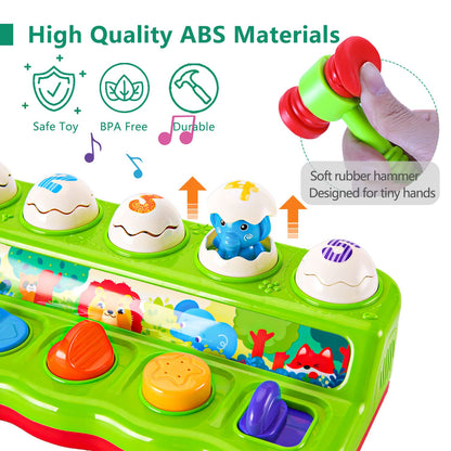 WOWOHAGE Baby & Toddler Toys for 3-6-12-18 Months with Light and Sound, Learning Birthday Shower Gift for Boys Girls