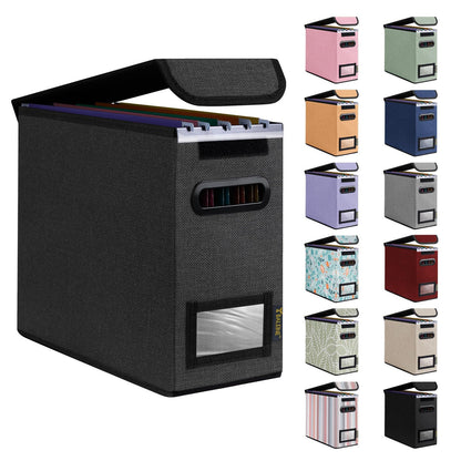 BALEINE File Organizer Box with Lid, Collapsible File Folder Organizer with Plastic Slide, Hanging File Folder Box for Office Document Storage (1 Pack, Black, S)