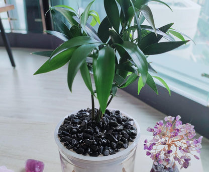 ZHIYUXI Obsidian Crystal Vase Filler Crystal Chips Stone for Decoration Succulent Plants Vase Fish Tank Gravel Crushed Crystals Chips Gemstone Polished Healing Crystals Quartz Home Decor Gem Stones