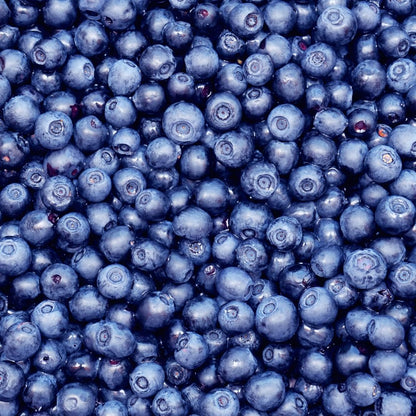 Set 3 Southern Highbush Blueberry Tree Plants Live 1 to 2 Year Old, Blueberry Fruit Tree Live Plant, Blueberry Bush, Blueberries Plants Live for Planting Outdoor Garden Perennial