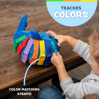 Buckle Toys - Blu Whale - Develop Motor Skills and Problem Solving - Counting and Color Recognition - Easy Travel Toy - Learning Material - Pre K Activity Stuffed Animal