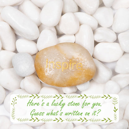 Ausluru 5lbs White Natural River Rocks, Polished Pebbles for Plants Garden, 1-2 inch Decorative White Stones, Ideal for Fish Tank, Vases, Crafting, Home Decor and Garden Landscaping Rocks,White