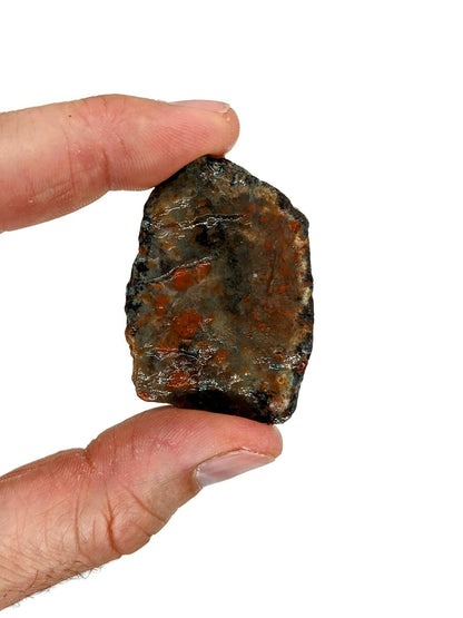 3 lbs Bulk Rough Agate, Jasper, Petrified Wood Stone Mix - 1 to 2 Inch Mixed Sizes. Natural Stones Perfect for Rock Tumbling, Wire Wrapping, Fountain, Decoration, Lapidary or Energy Stones