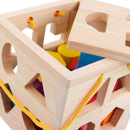 QZMTOY Shape Sorter Toys with 19 Shape Blocks, Classic Wooden Toys for Toddlers Kids, Gift for Girls Boys 2-4 (Natural Solid Wood)