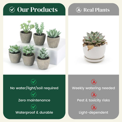 DomeStar Set of 6 Artificial Succulent Plants Potted, Assorted Decorative Faux Succulent Potted Fake Cactus Cacti Plants with Pots