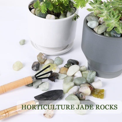 Ausluru 11lbs Natural River Rocks, Polished Pebbles for Plants Garden, 1-2 inch Decorative Jade Stones, Ideal for Fish Tank, Vases, Crafting, Home Decor and Garden Landscaping Rocks,Jade