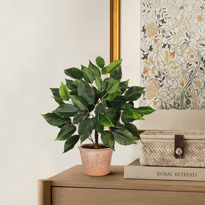 Fake Plant 13" Small Artificial Ficus Plant Faux Ficus Plants Banyan Tree with Rustic Terracotta Pot Silk Plants for Home Decor Indoor Office Living Room Bedroom Shelf Table Centerpieces