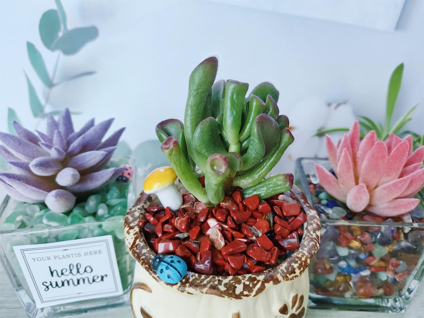 ZHIYUXI Red Jasper Chips Fish Tank Gravel Vase Filler Stones Bulk Crushed Crystals Gemstone Polished Natural Quartz Stone Healing Crystals Glass Stones Fish Rocks
