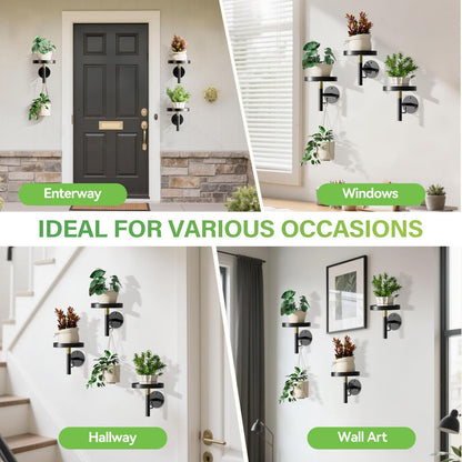 DELLAN Wall Plant Holder, 3 Pack Metal Wall Planters Stand Hanging Shelves for Indoor Plants, Window Sill Plant Decor for Bedroom, Bathroom, Living Room, Home, Office, BlackGold