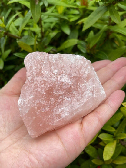 GAF TREASURES XL Raw Rose Quartz, 3-4" Natural Rose Quartz Stone, Rough Rose Quartz, Healing Rough Crystal (Rose Quartz, 0.5-1 lb)