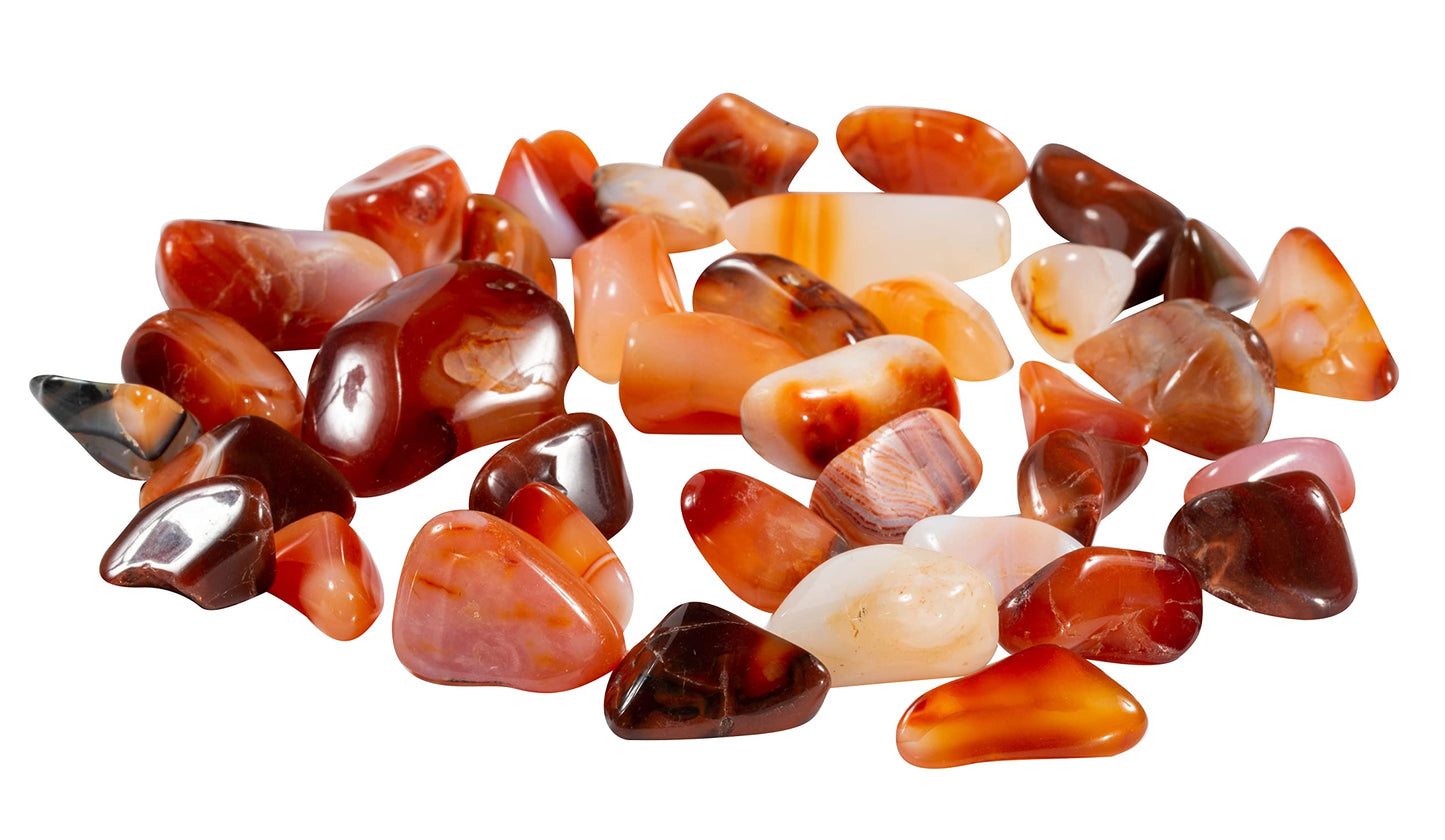 The Chrysalis Stone | Tumbled Stones | Carnelian | 1/2 LB | Bulk Crystals, Healing Stones, Spiritual Gifts for Women, Reiki, Chakra, Witchcraft, Yoga, Meditation Accessories
