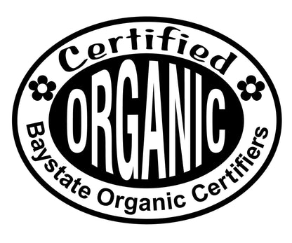 Tarragon (Artemesia Dracunculus) Organic Plant in a 2.5-inch Pot by Smoke Camp Crafts