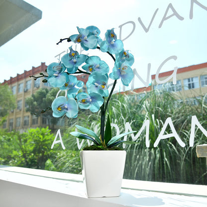 YSZL 15 Inches Tall Artificial Silk Phalaenopsis Orchid Flower Plant Pot Teal Arrangements (Golden Blue)