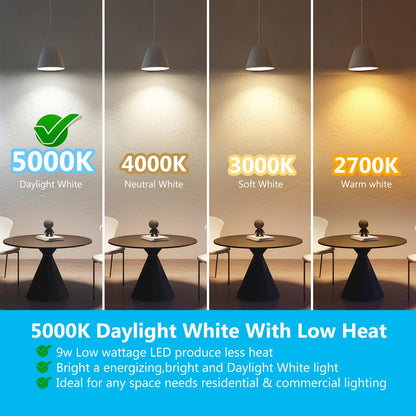 DAYBETTER BR30 LED Light Bulbs Indoor Flood Light, 6Pack 5000K Daylight White LED Bulb 65W Equivalent, Dimmable, E26 Base, 800LM, Recessed Can Bulb for Living Room Bedroom Dining Room Bathroom