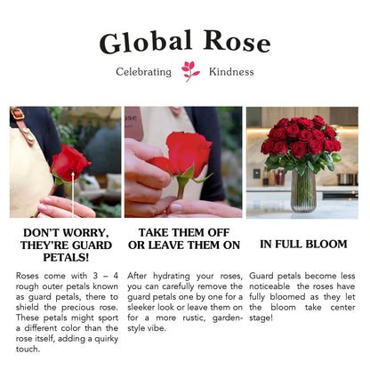 GlobalRose 150 Yellow Roses Bouquet - Responsibly Sourced Roses Fresh Flowers - Hand-Picked Flowers Fresh Bouquet for Graduation, Anniversary, Birthday & Special Occasions (6 Bunches of 25 Stems)