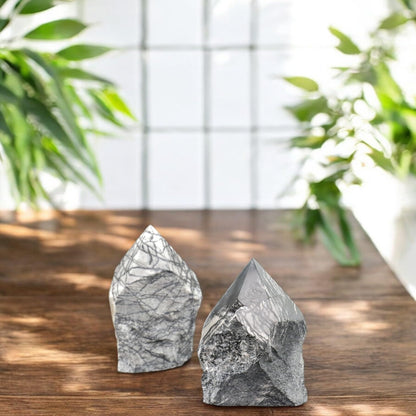 SAMSARI Net Jasper Crystal Points – (3 to 4 inches Height) Set of 2 Healing Stones for Meditation, Yoga, and Spiritual Practices – Natural Earthy Gemstones