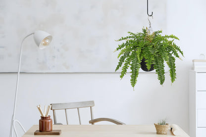 Hollyone Artificial Fern Hanging Basket Plant 25" Boston Ferns 31 Leaves Greenery Plants with Rattan Pot for Outdoors & Indoor Fake Fern Bush Plant in Pot for Patio Entrance Porch Garden Decor Green