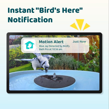 Birdfy Smart Bird Bath with Camera Solar Powered & Fountain & Stand, Dual-Lens Camera for Wildbird Watching, Auto Capture Bird Videos & Motion Detection (AI Lifetime)
