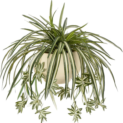 Sousi 3pcs Artificial Spider Plant Silk Faux Chlorophytum Comosum Fake Spider Hanging Plant Decor for Outdoor Indoor Home Garden Office Decoreation (23.62'')(Pot Not Included)