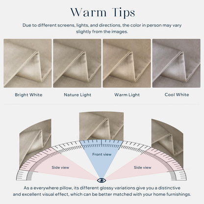 Phantoscope Pack of 2 Velvet Decorative Throw Decorative Pillow Cover Soft Solid Square Cushion Case for Couch Taupe 20 x 20 inches 50 x 50 cm