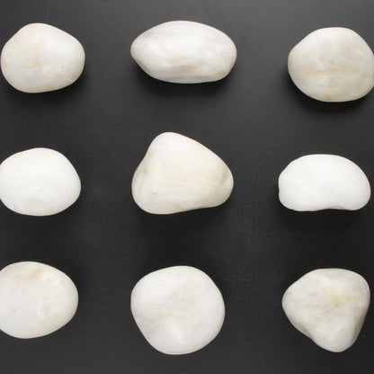 River Rocks - Natural Polished White Pebbles, 2-3 inches, 10 lbs - Ideal for Patio Landscaping, Rock Gardens, Succulent Arrangements, and Pathway Edging (White, Weight: 10 LB)