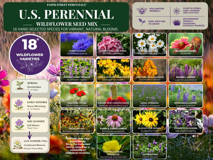 United States Nationwide Bulk Perennial Wildflower Seed Mix - All U.S. Zones - Plant in Spring and Fall (1 Pound Covers 2,000 Square feet) (1/4 Pound)