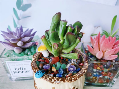 ZHIYUXI Chakra Crystal Vase Filler Crystal Chips Stone for Decoration Succulent Plants Vase Fish Tank Gravel Crushed Crystals Chips Gemstone Polished Healing Crystals Quartz Home Decor Gem Stones
